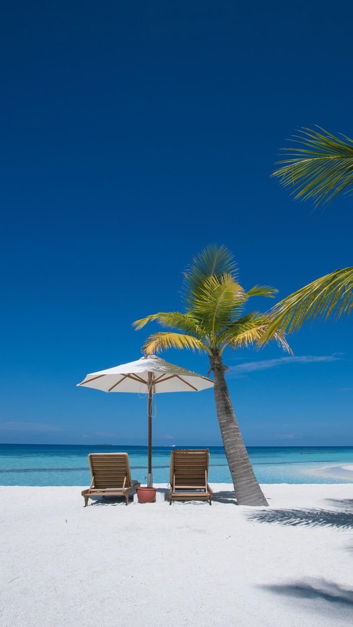 Idyllic beachfront scene with two chairs under an umbrella by a palm tree on white sand.